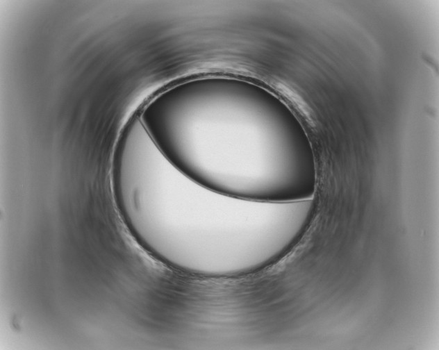 X0000096400888200801241001