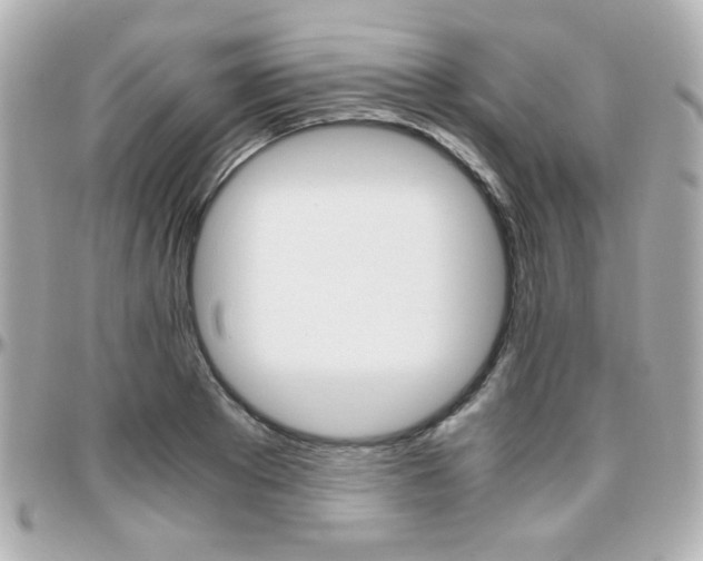 X0000096400889200801241001