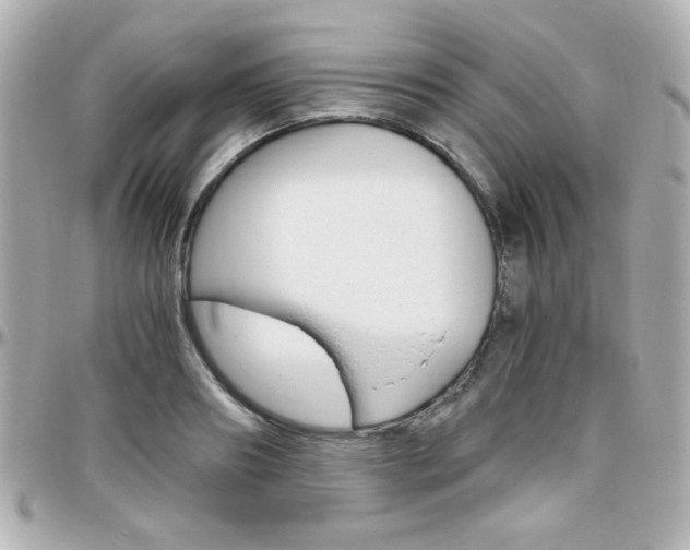 X0000096400890200801241001