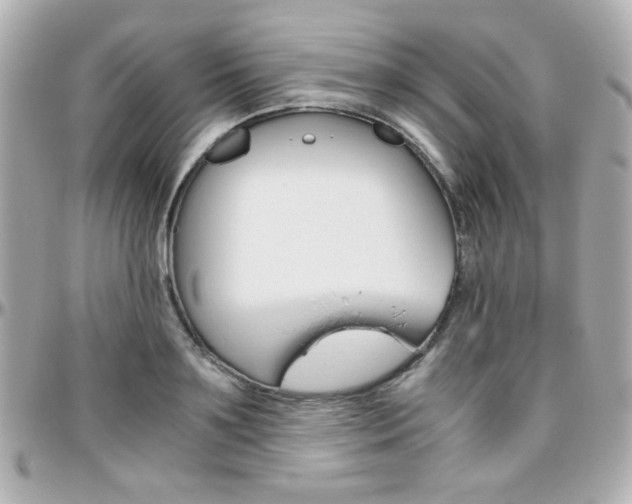 X0000096400891200801241001