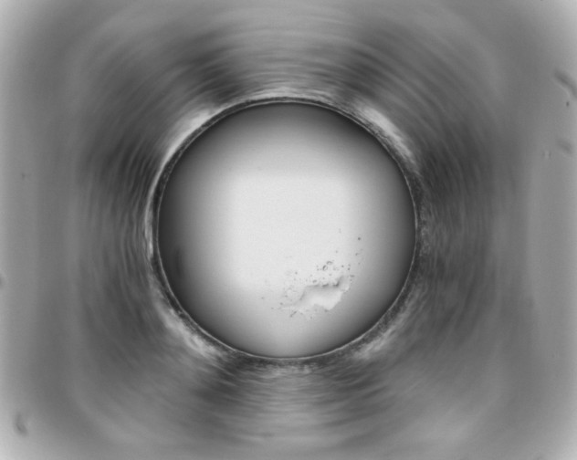 X0000096400892200801241001