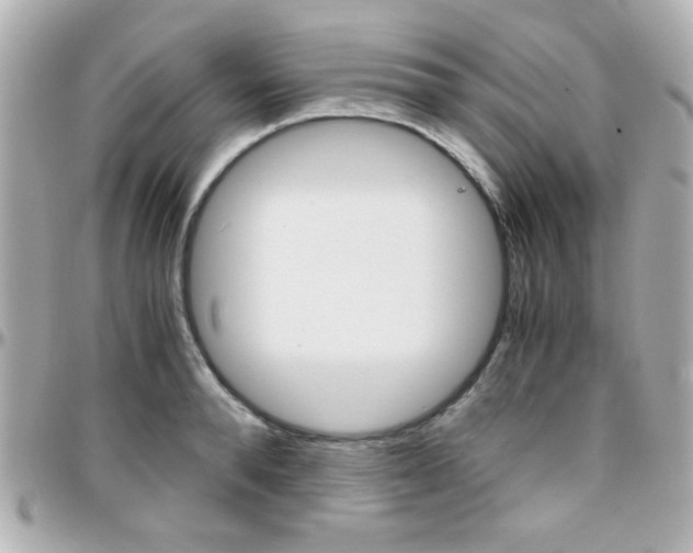 X0000096400896200801241001