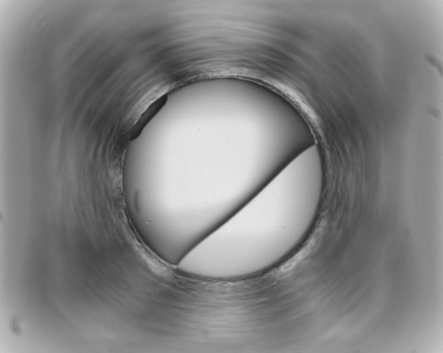 X0000096400897200801241001