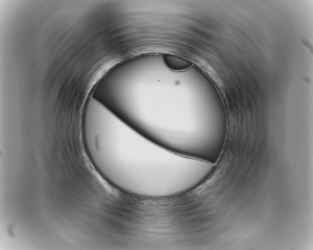 X0000096400898200801241001