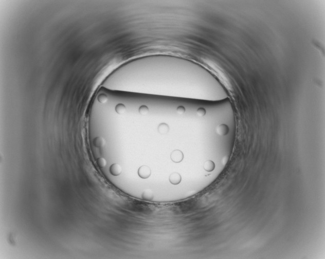 X0000096400899200801241001