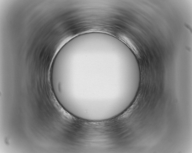 X0000096400900200801241001