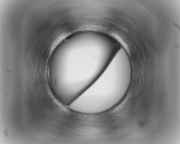 X0000096400901200801241001