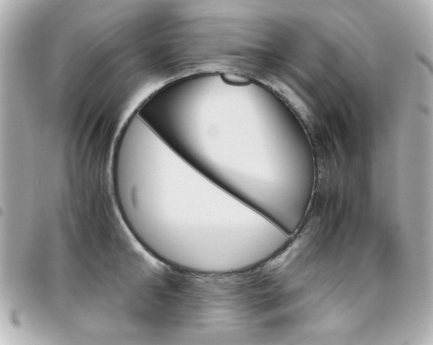 X0000096400902200801241001