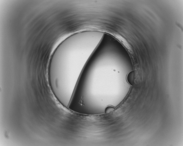 X0000096400904200801241001