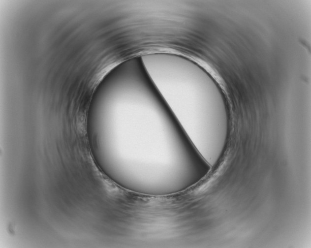X0000096400905200801241001