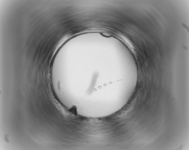 X0000096400907200801241001