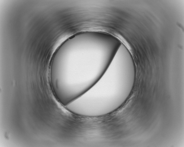 X0000096400909200801241001