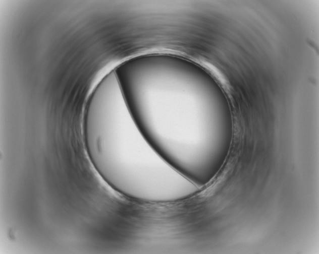 X0000096400910200801241001
