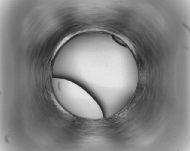 X0000096400911200801241001