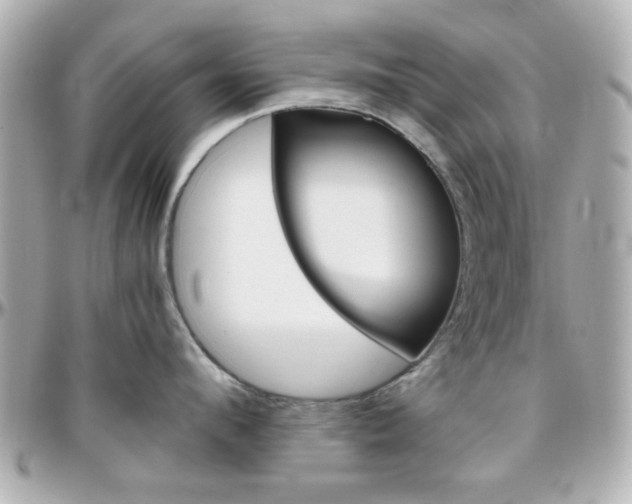 X0000096400912200801241001