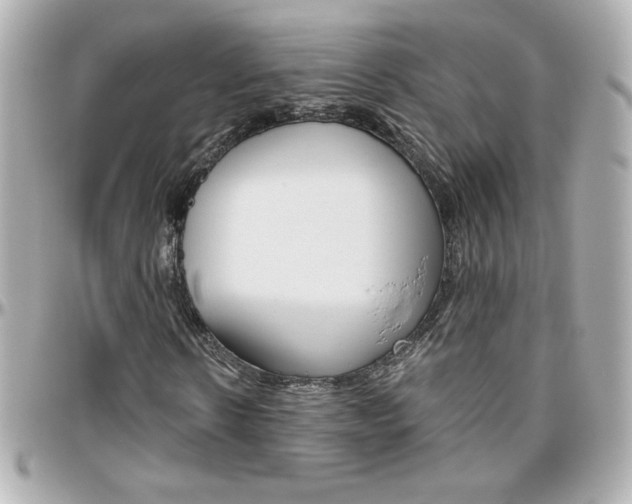 X0000096400914200801241000