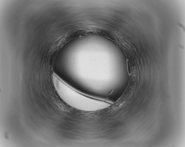X0000096400916200801241000