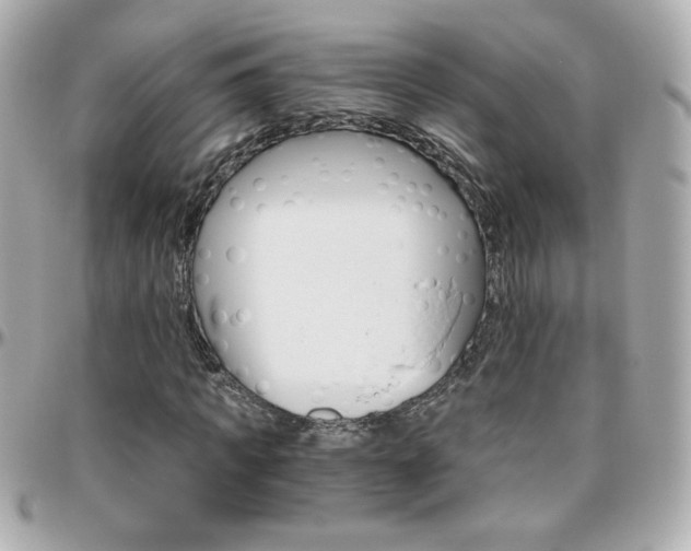 X0000096400917200801241000
