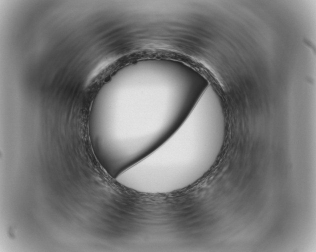 X0000096400919200801241000