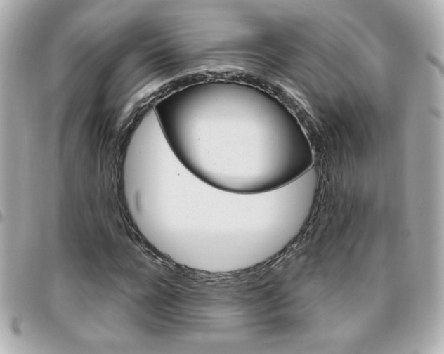 X0000096400920200801241000