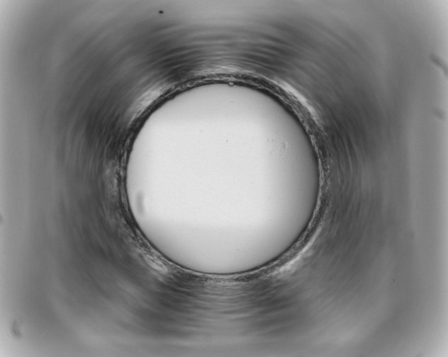 X0000096400921200801241000