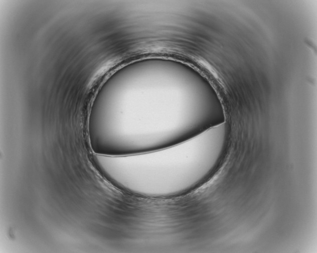 X0000096400922200801241000