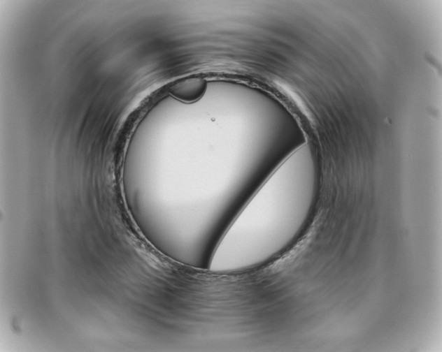 X0000096400923200801241000