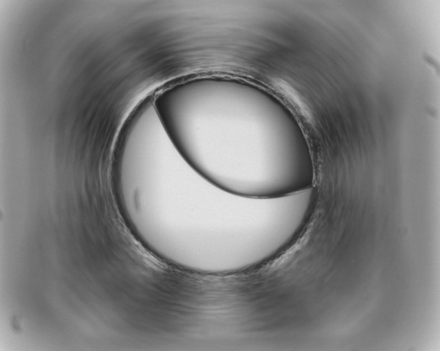 X0000096400924200801241000