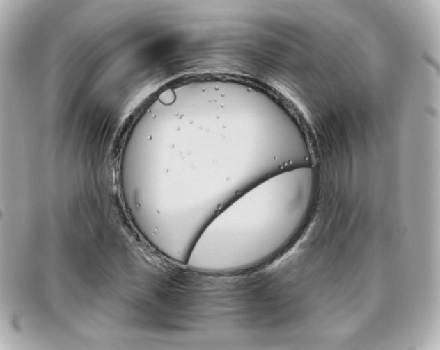 X0000096400925200801241000