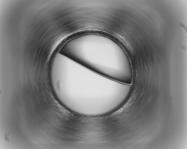 X0000096400926200801241000