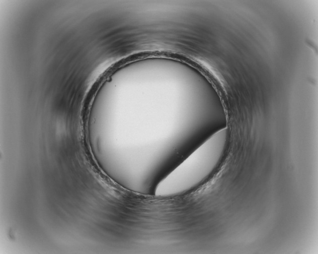 X0000096400927200801241000