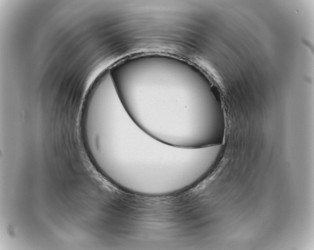 X0000096400928200801241000