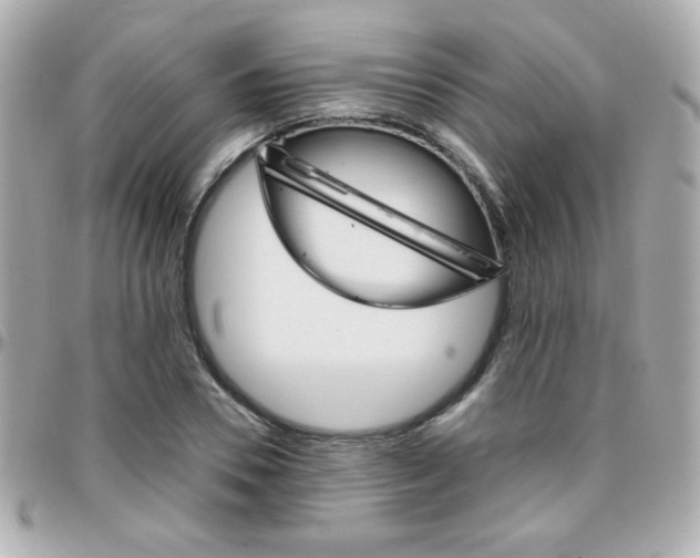 X0000096400930200801241000