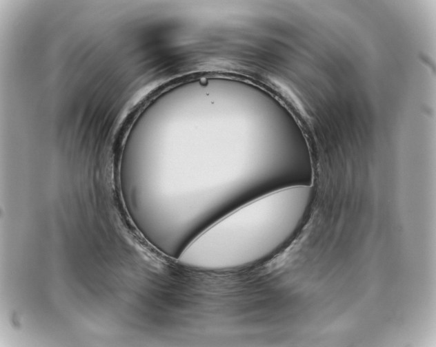 X0000096400931200801241000