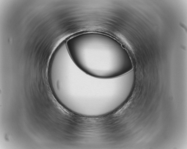 X0000096400932200801241000