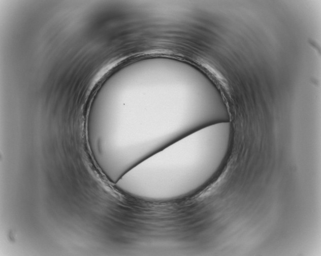 X0000096400933200801241000