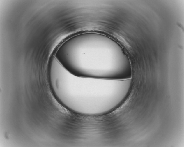 X0000096400934200801241000