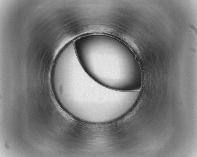 X0000096400936200801241000