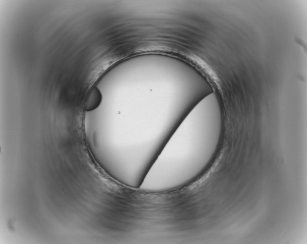 X0000096400937200801241001