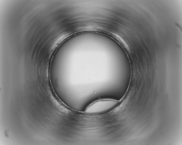 X0000096400938200801241001