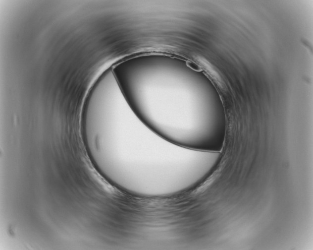 X0000096400940200801241001