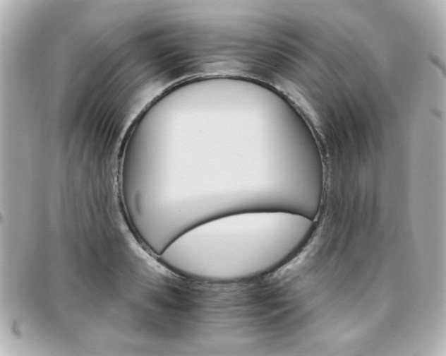 X0000096400941200801241001
