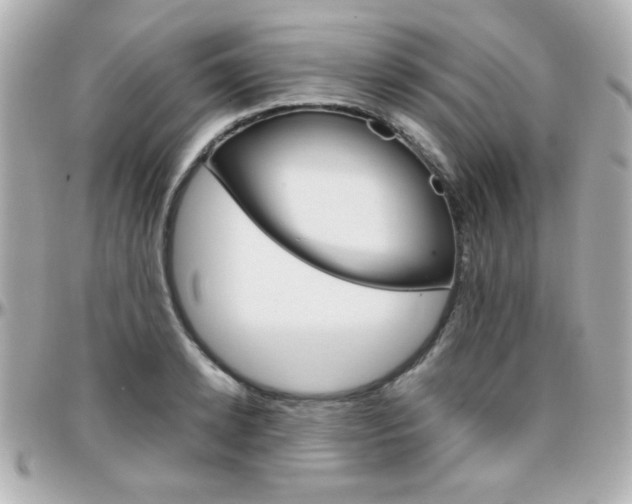 X0000096400942200801241001