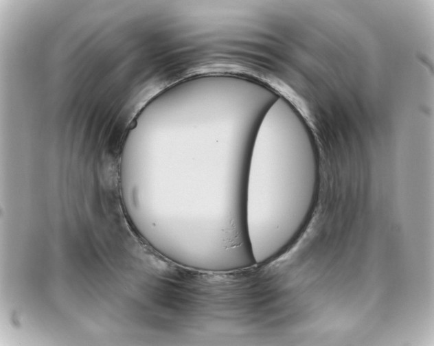 X0000096400945200801241001