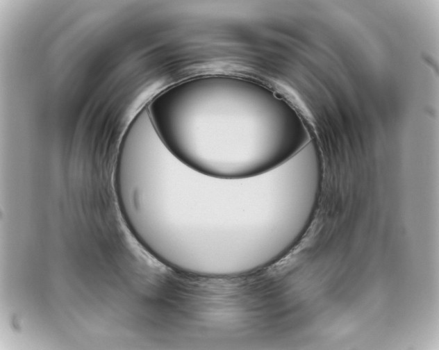 X0000096400946200801241001