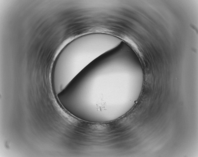 X0000096400947200801241001