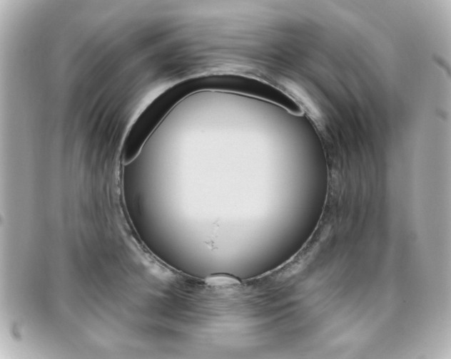 X0000096400948200801241001