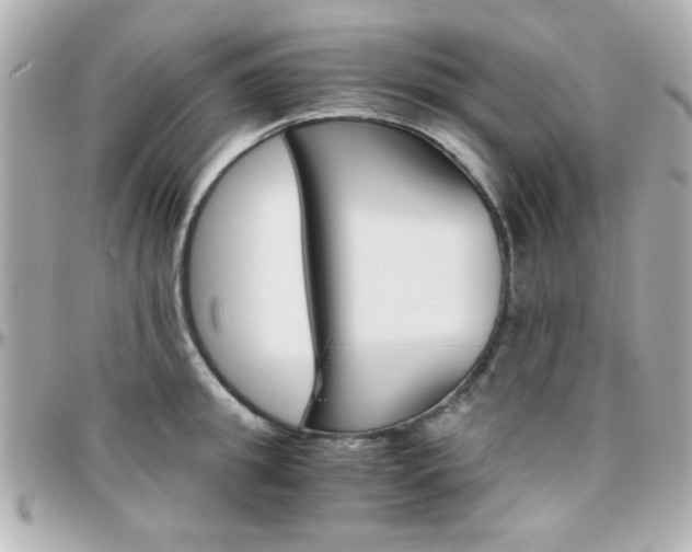 X0000096400949200801241001