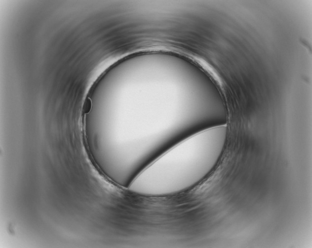 X0000096400951200801241001