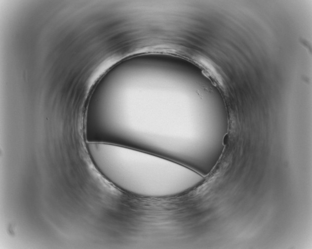 X0000096400952200801241001